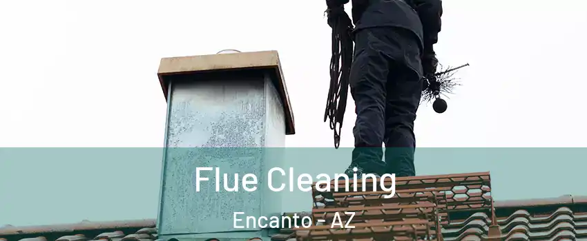 Flue Cleaning Encanto - AZ