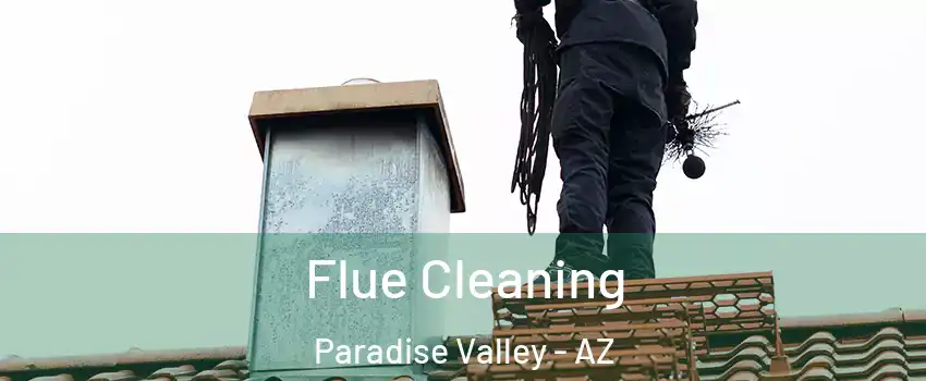 Flue Cleaning Paradise Valley - AZ