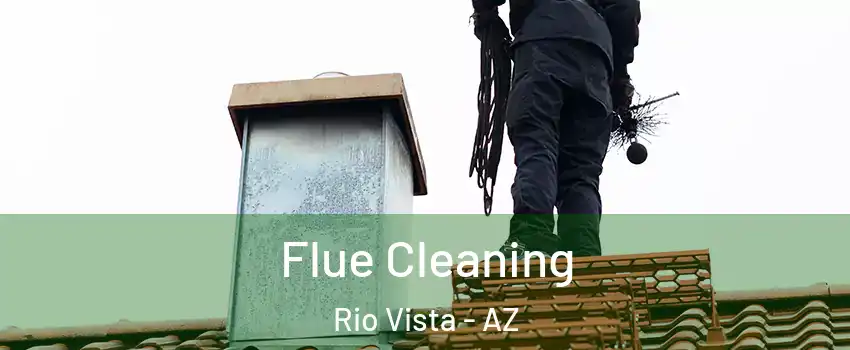 Flue Cleaning Rio Vista - AZ