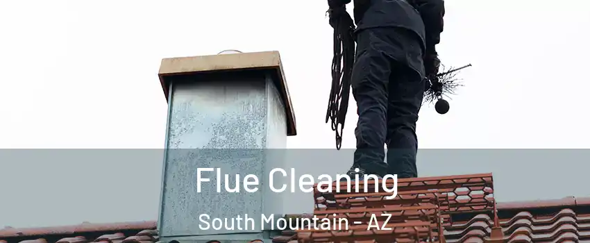 Flue Cleaning South Mountain - AZ