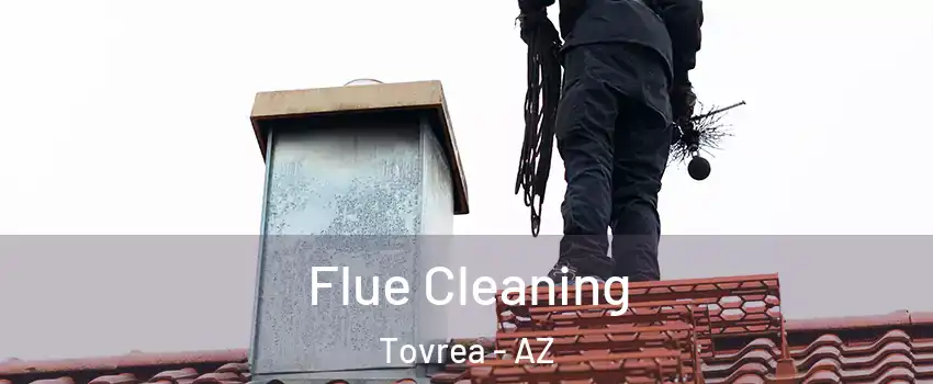 Flue Cleaning Tovrea - AZ