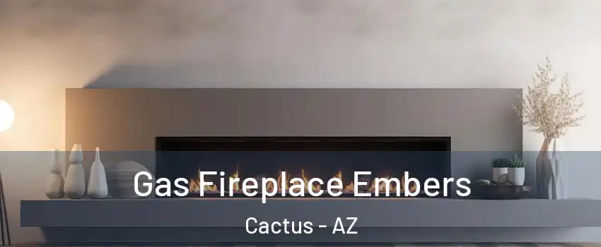 Gas Fireplace Embers Cactus - AZ