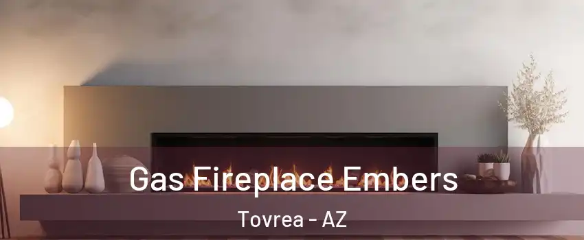 Gas Fireplace Embers Tovrea - AZ