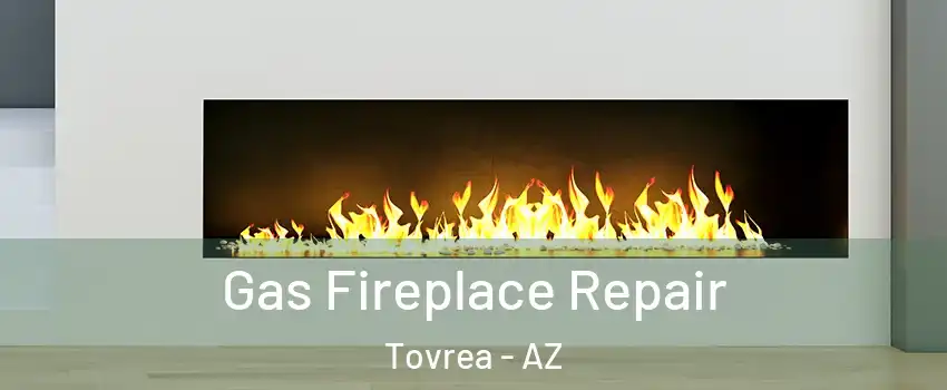 Gas Fireplace Repair Tovrea - AZ