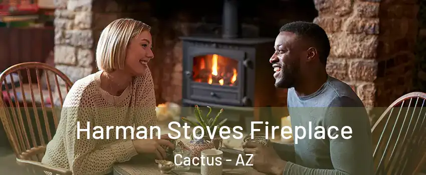 Harman Stoves Fireplace Cactus - AZ