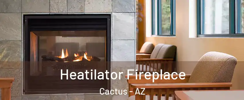 Heatilator Fireplace Cactus - AZ