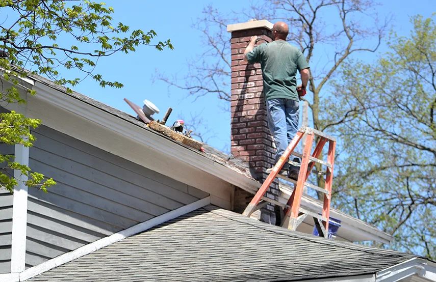 Chimney & Fireplace Inspections Services in Phoenix, AZ