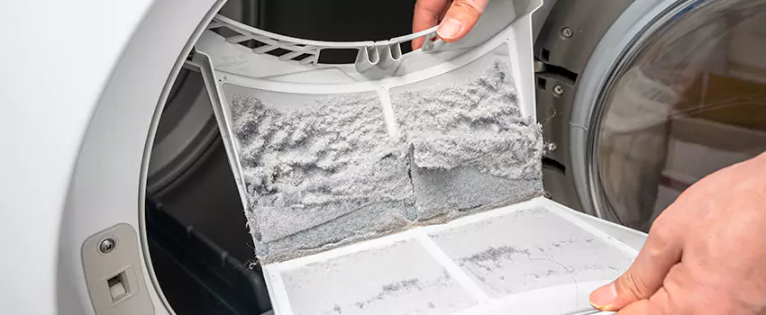 Best Dryer Lint Removal Company in Tovrea, Arizona