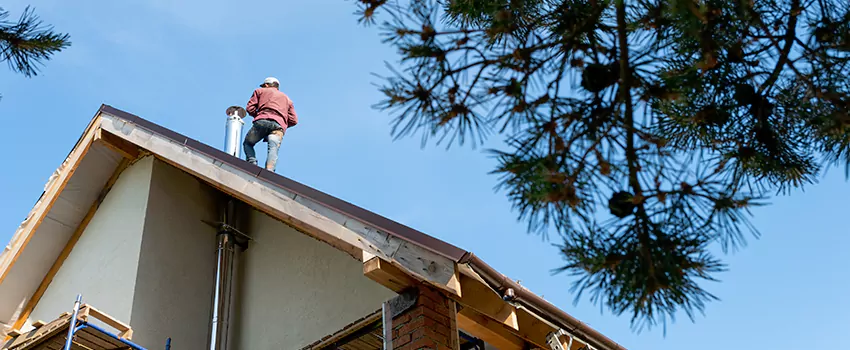 Birds Removal Contractors from Chimney in Central City, AZ