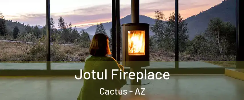 Jotul Fireplace Cactus - AZ