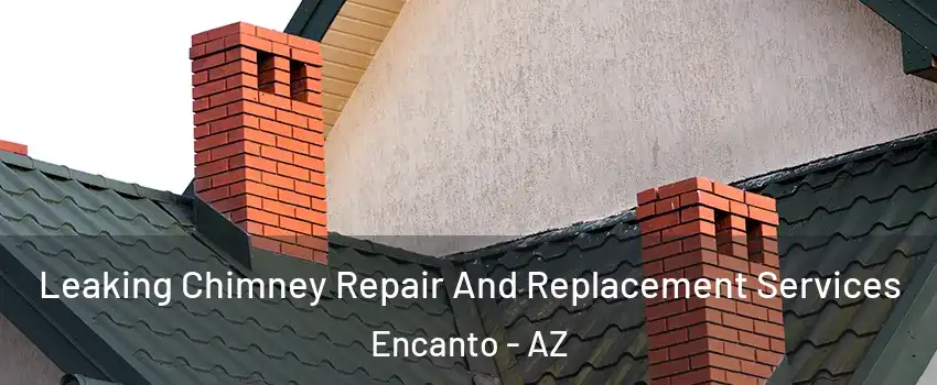 Leaking Chimney Repair And Replacement Services Encanto - AZ