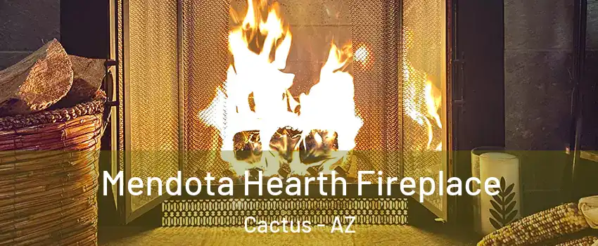 Mendota Hearth Fireplace Cactus - AZ