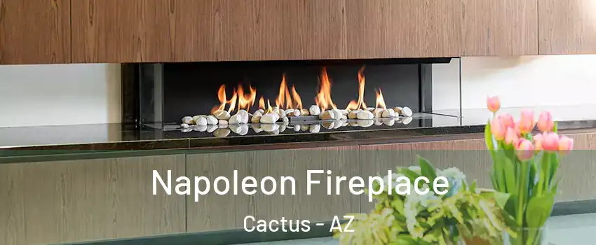 Napoleon Fireplace Cactus - AZ