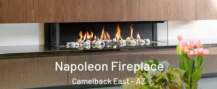 Napoleon Fireplace Camelback East - AZ