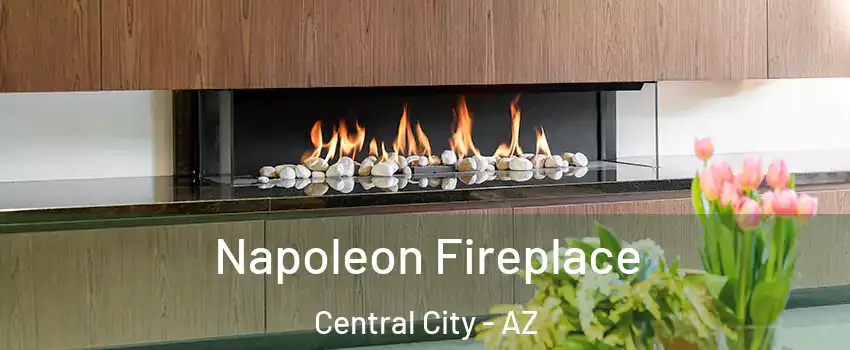 Napoleon Fireplace Central City - AZ