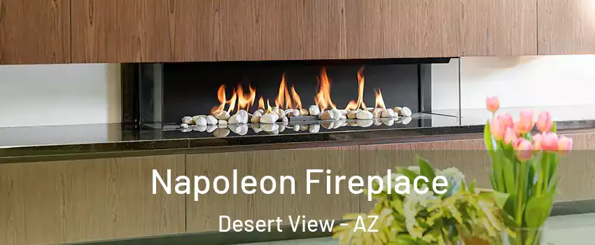 Napoleon Fireplace Desert View - AZ