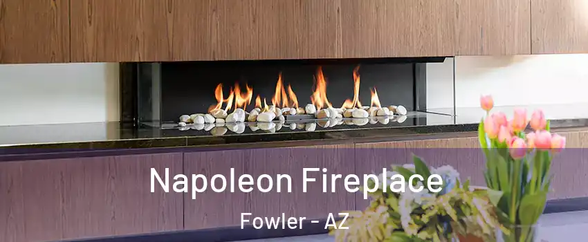 Napoleon Fireplace Fowler - AZ