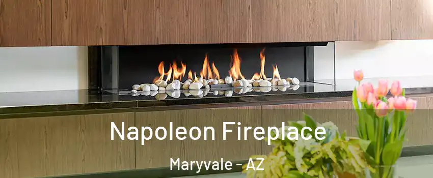 Napoleon Fireplace Maryvale - AZ