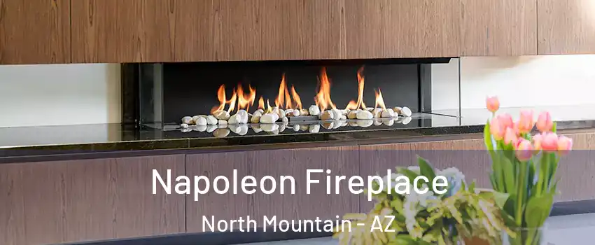 Napoleon Fireplace North Mountain - AZ