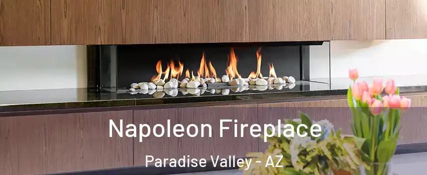 Napoleon Fireplace Paradise Valley - AZ