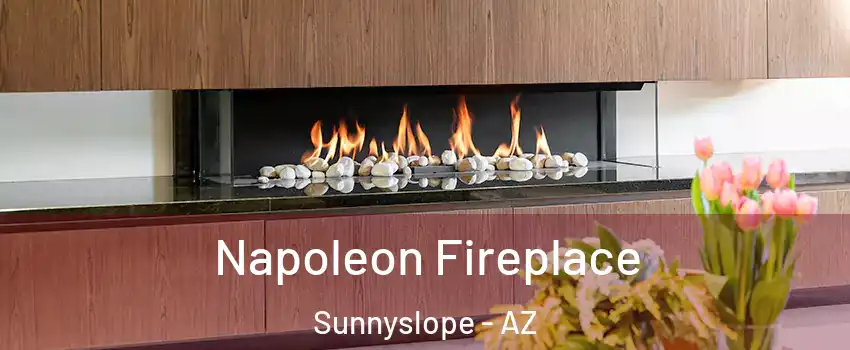 Napoleon Fireplace Sunnyslope - AZ