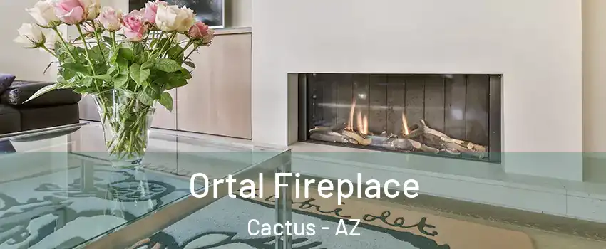 Ortal Fireplace Cactus - AZ