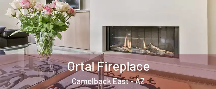 Ortal Fireplace Camelback East - AZ