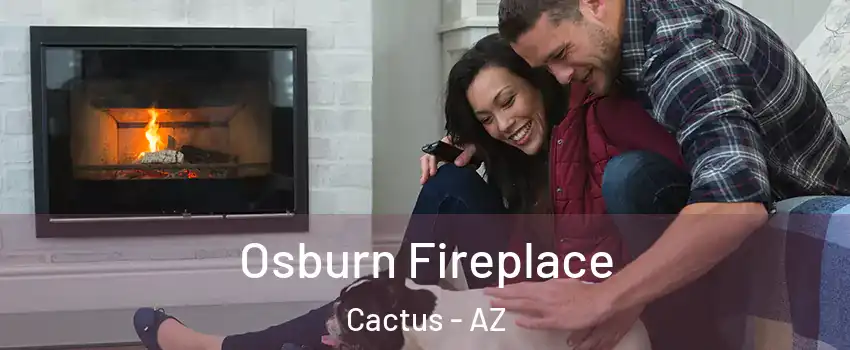 Osburn Fireplace Cactus - AZ