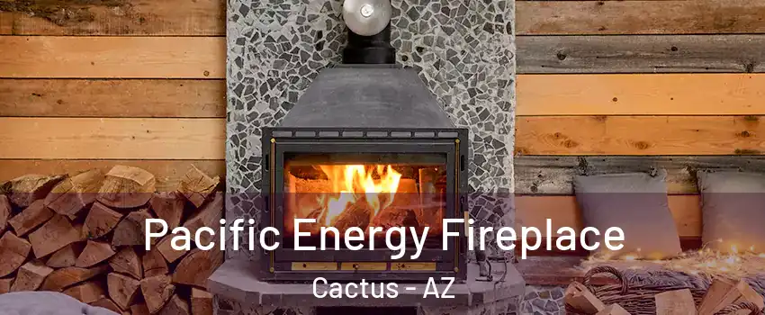 Pacific Energy Fireplace Cactus - AZ