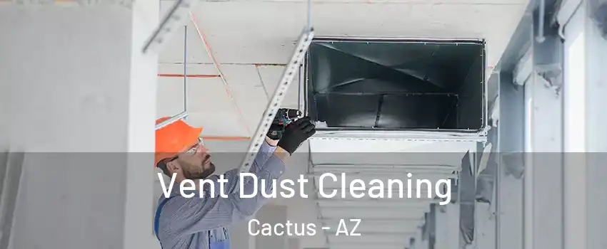 Vent Dust Cleaning Cactus - AZ